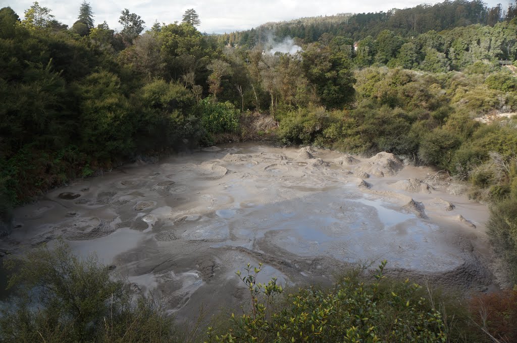 Mud pool by Anatoly Chernyshev