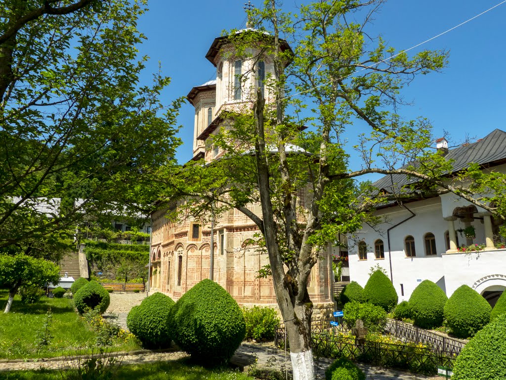 Biserica veche a mănăstirii dintr-un Lemn by Bogdan Apostoaia