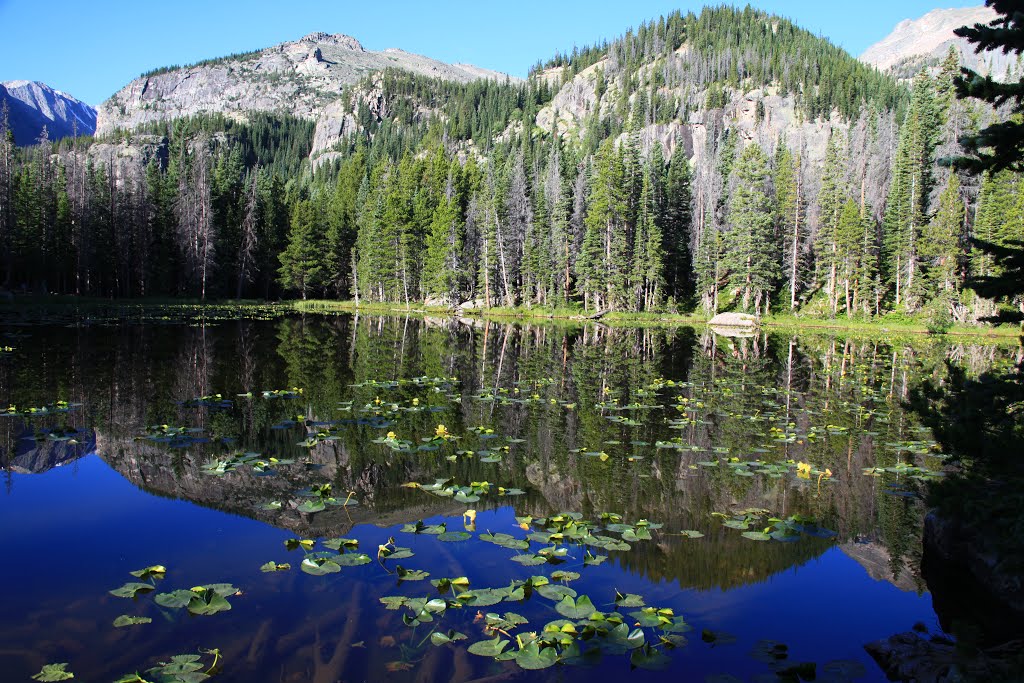 Nymph Lake by DeWayne Hansen