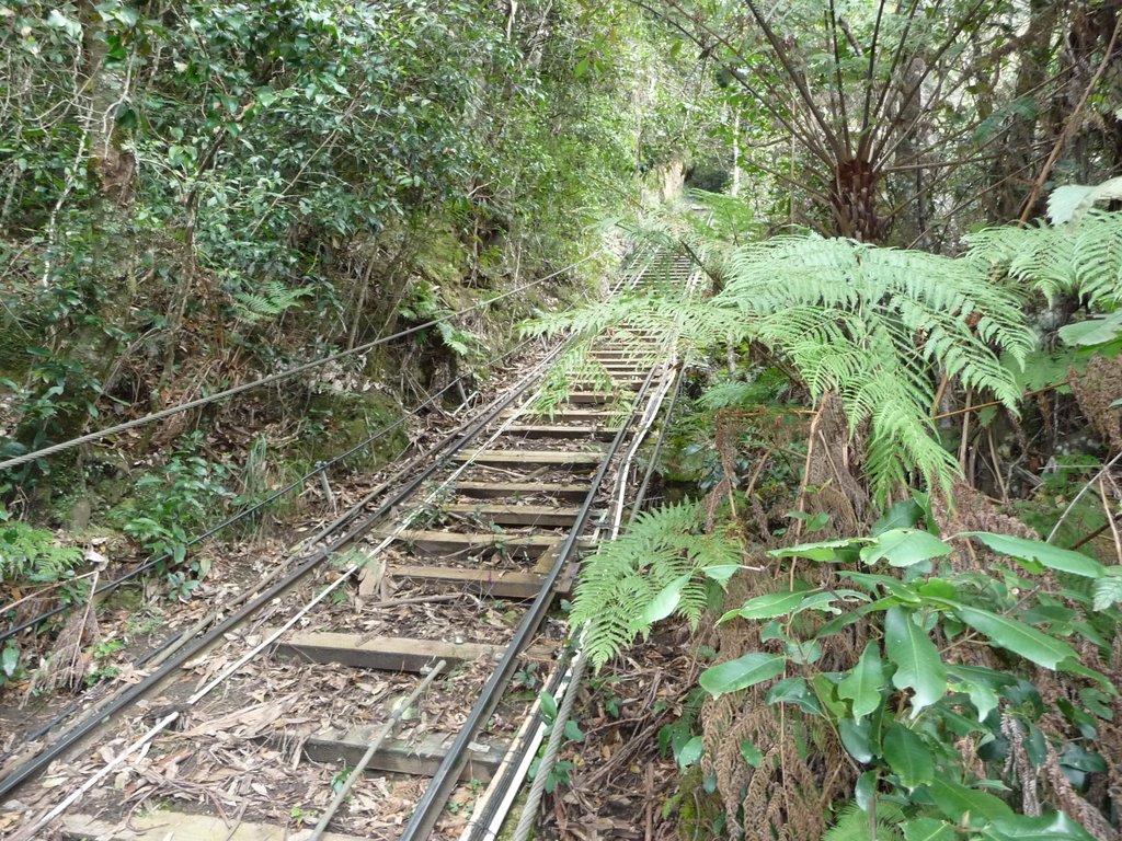 Blue Mountains- Scenic World Railway by junejune