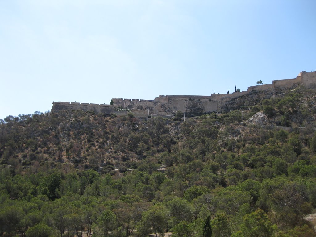 Vistas desde el Castillo de Santa Bárbara by PerseP