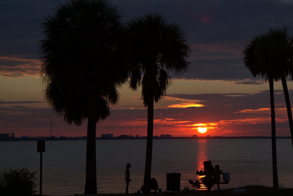 Sunset at Picnic Island Beach, Tampa FL by christinemitchell