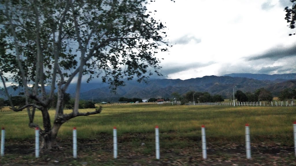 Cultivos De Arroz En Tolima by Damti-Diego Medina