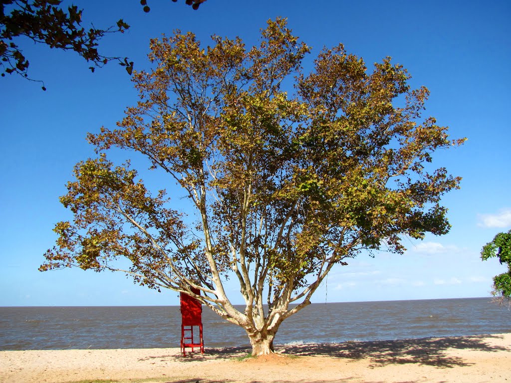 Praia das Nereidas by Paulo RS Menezes