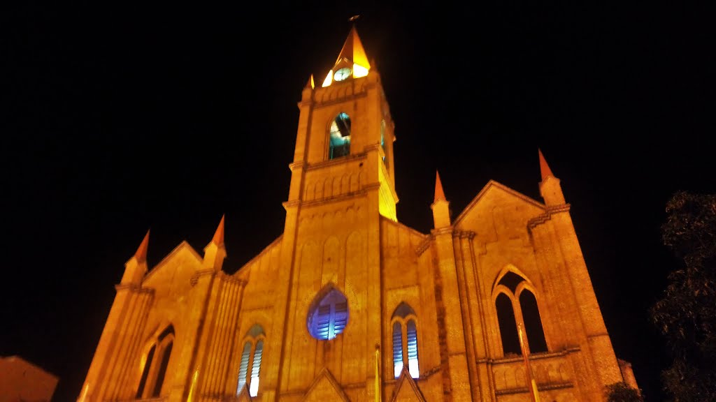 Catedral De La Inmaculada Concepción; Neiva by Damti-Diego Medina