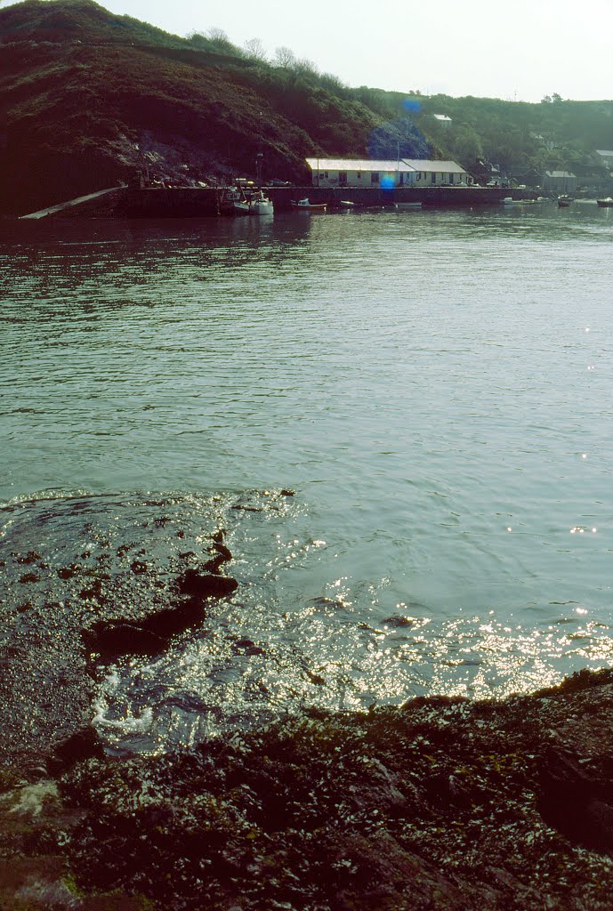 Old Harbour, Fishguard by Mike Rice