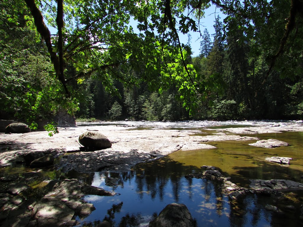 Stamp River Downstream by Chris Sanfino