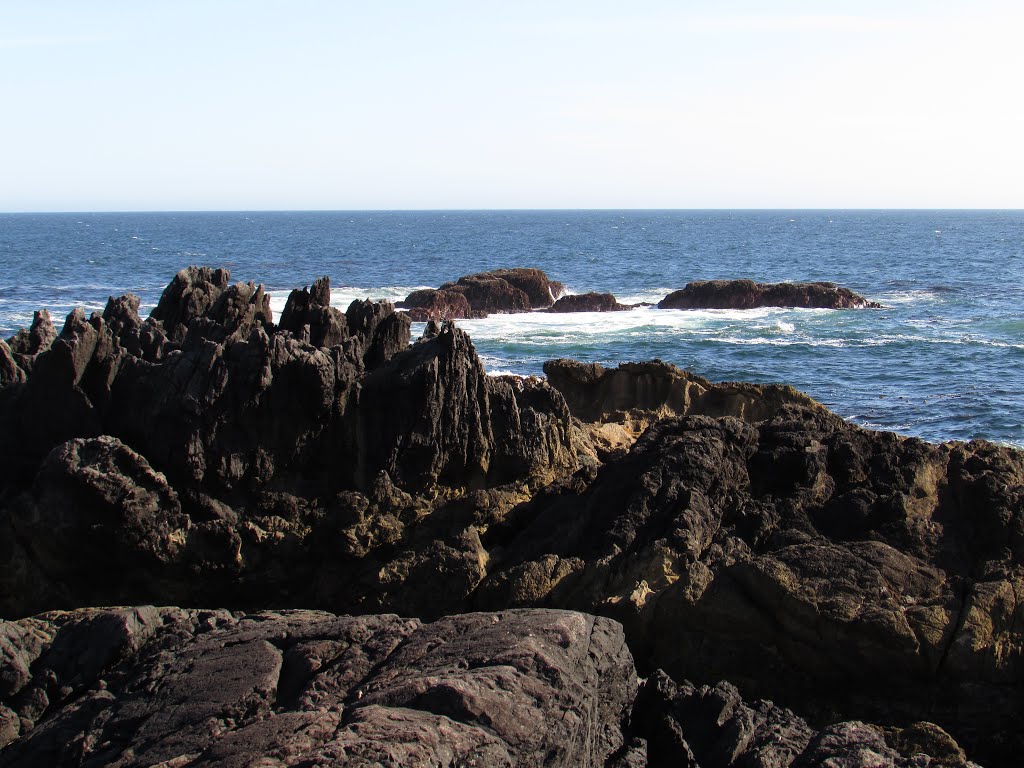 Rock Outcrops in Ucluelet off Wild Pacific Trail by Chris Sanfino