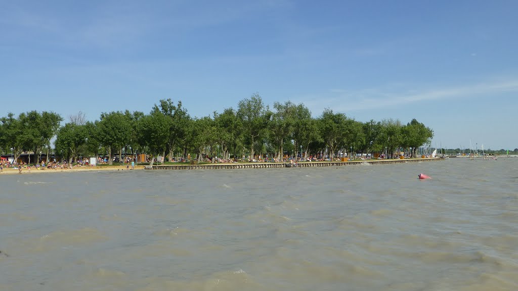 Neusiedl am See, Austria by Peter Székely