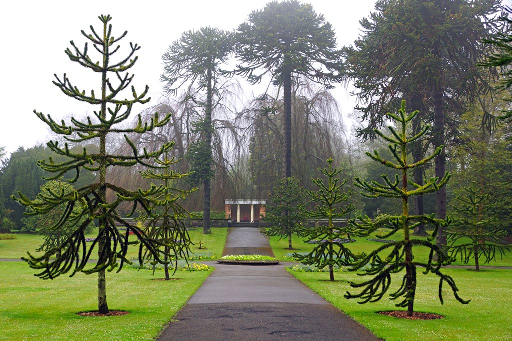 Footpaths of Sewerby grounds by Andrey Sulitskiy