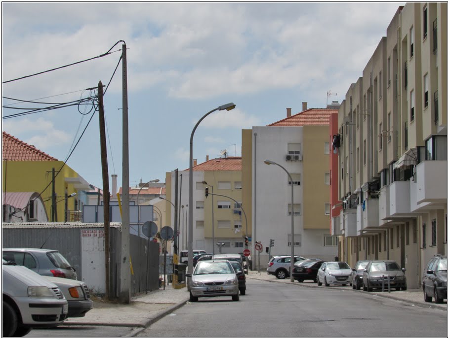 Avenida da Liberdade by André Barragon