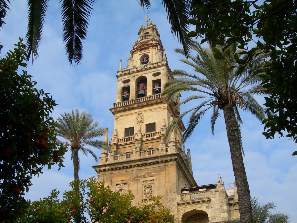 Patio de los Naranjos by José Mariscal