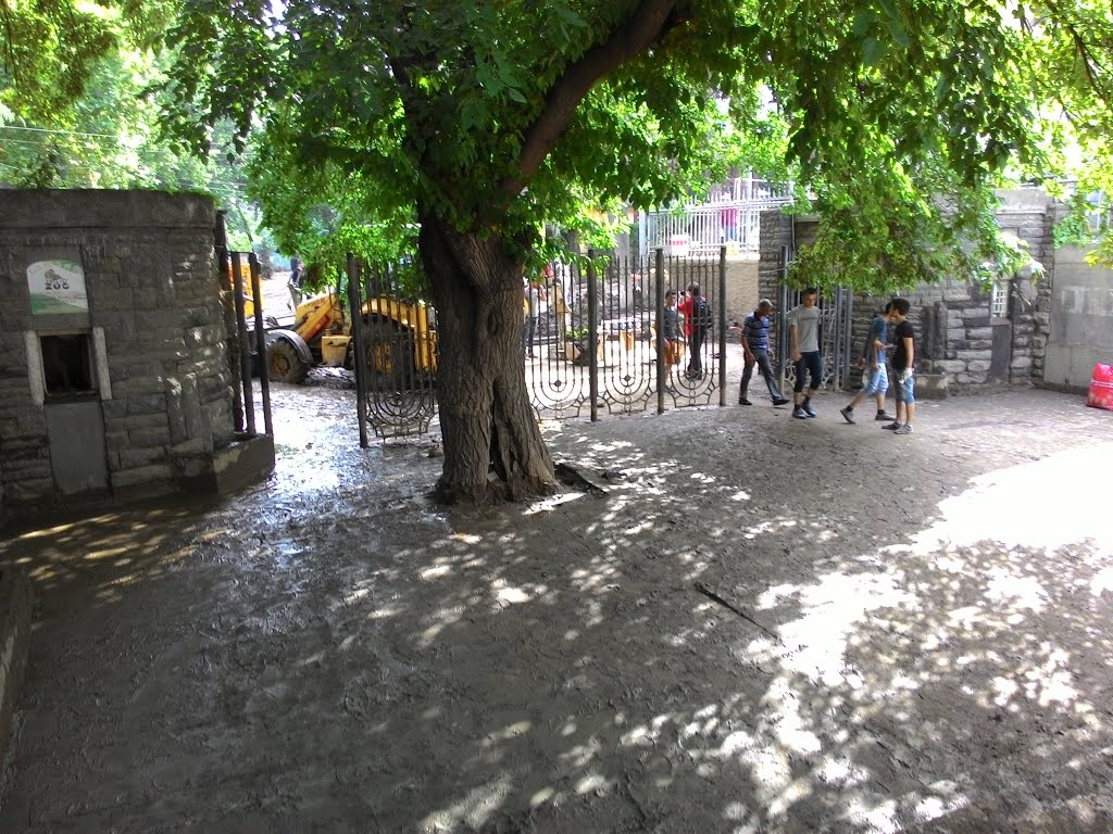 Tbilisi ZOO after Flood by Irakli Markozashvili