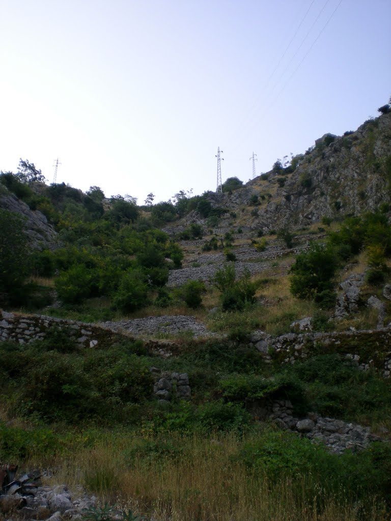 Kotor, Montenegro by alekhata