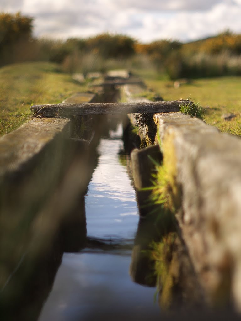 Wooden Leat by Paul Harris (i-r-pau…