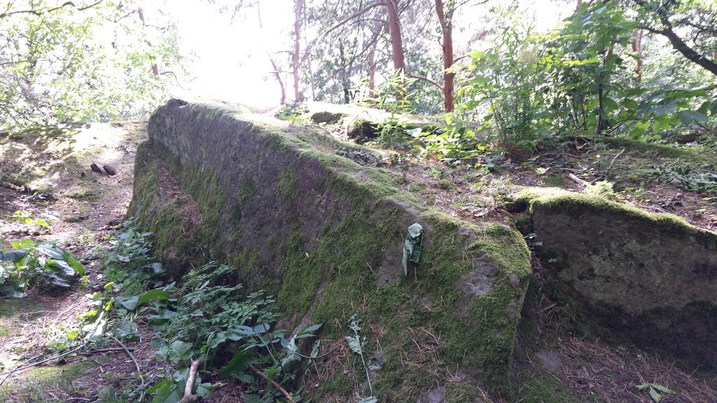 Kleine Teufelskanzel by Renato Pietsch