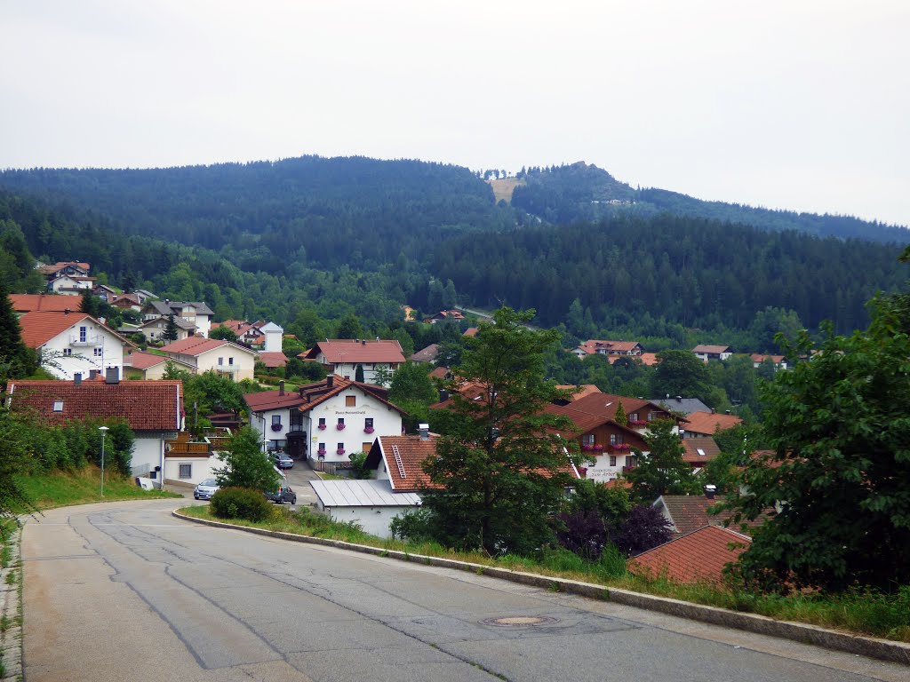 Bodenmais, Ausblick zum Silberberg by Karl Eidenschink