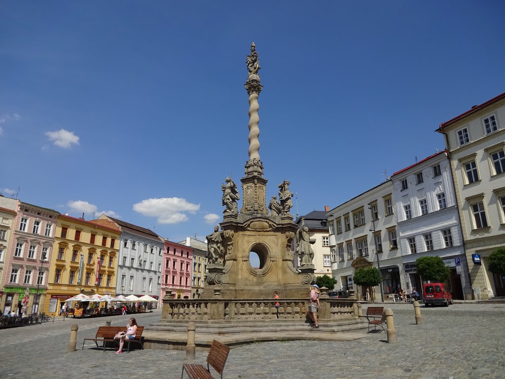 Mariánský sloup, Dolní náměstí, Olomouc, Česká republika, Czechia by Petr Sojka