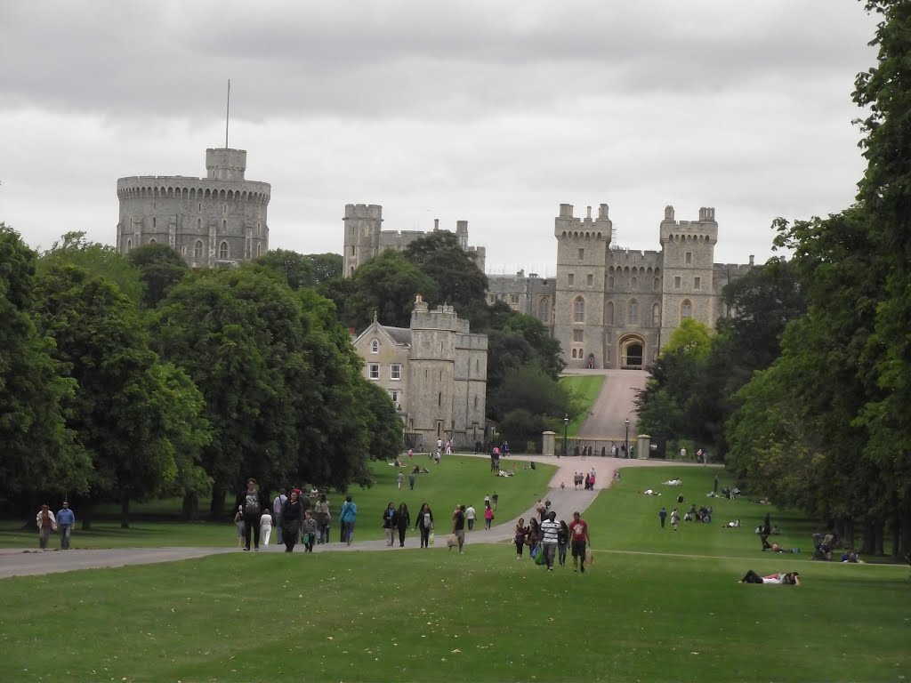 Windsor Castle from the Long Walk by tonywatson