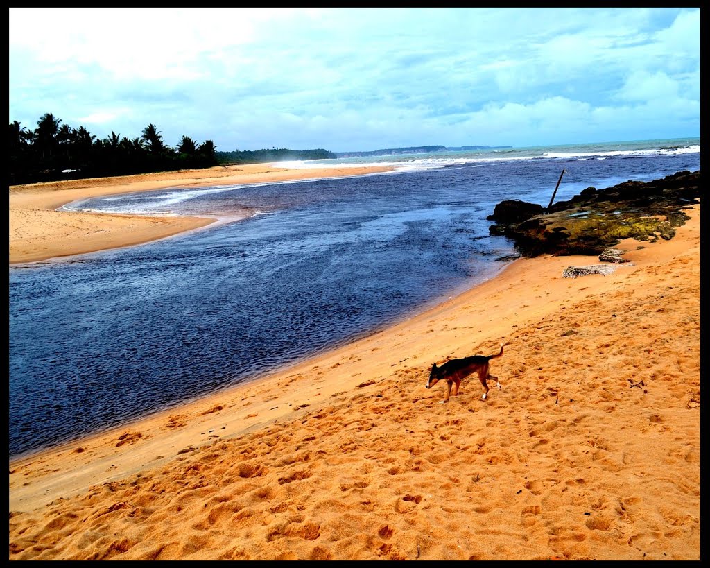 Rio caraiva com cachorro by Mario Camaradotti