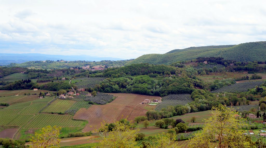 Landscape of Tuscany by Michael D