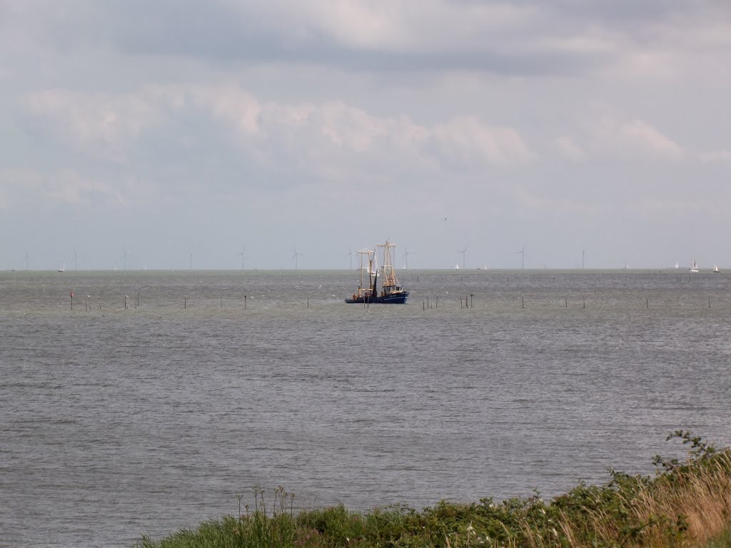 Scheepjes op het IJsselmeer by Jan Hendrik Fennema