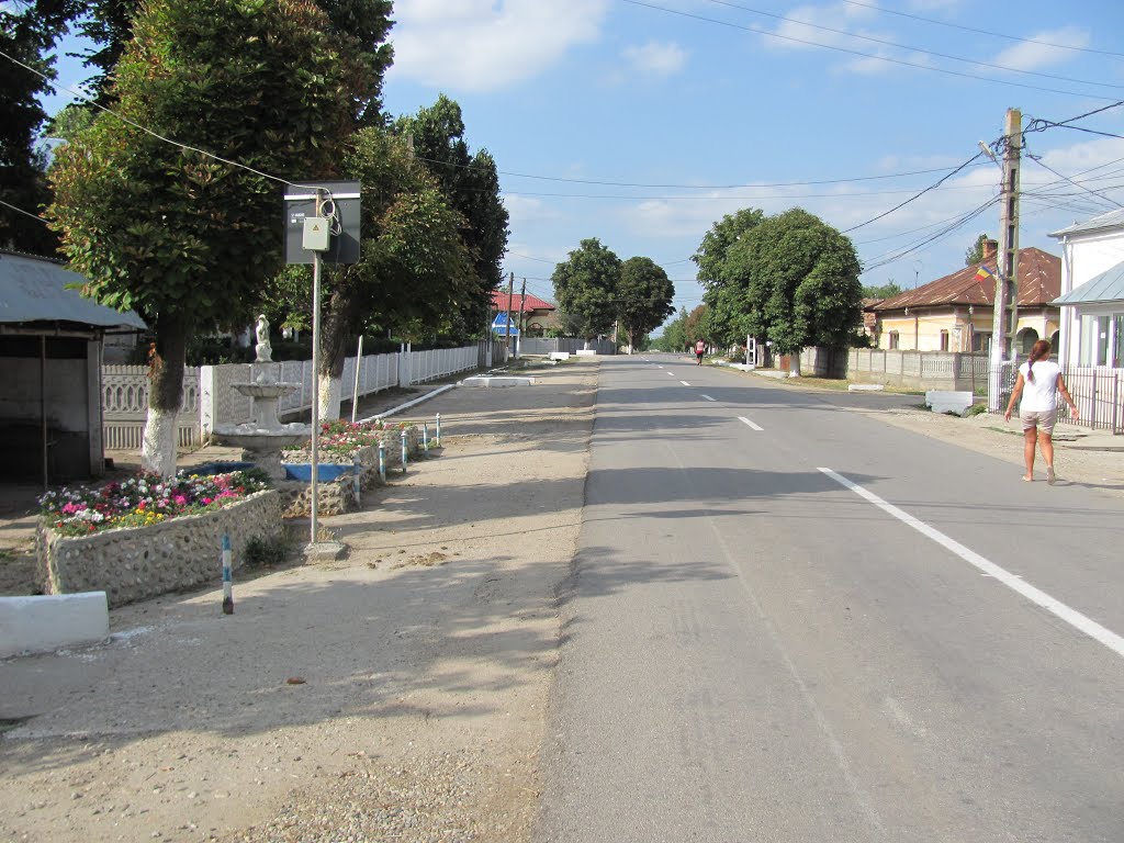 Brastavățu 237045, Romania by sima vio