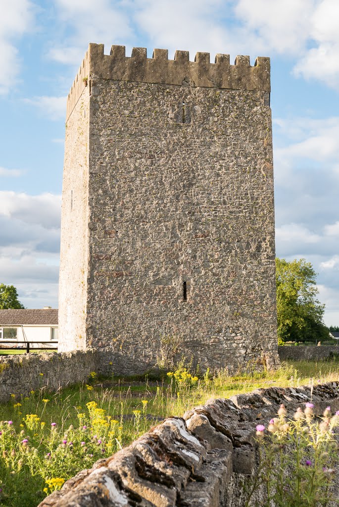 Grangeclare West, Co. Kildare, Ireland by Paul Leith