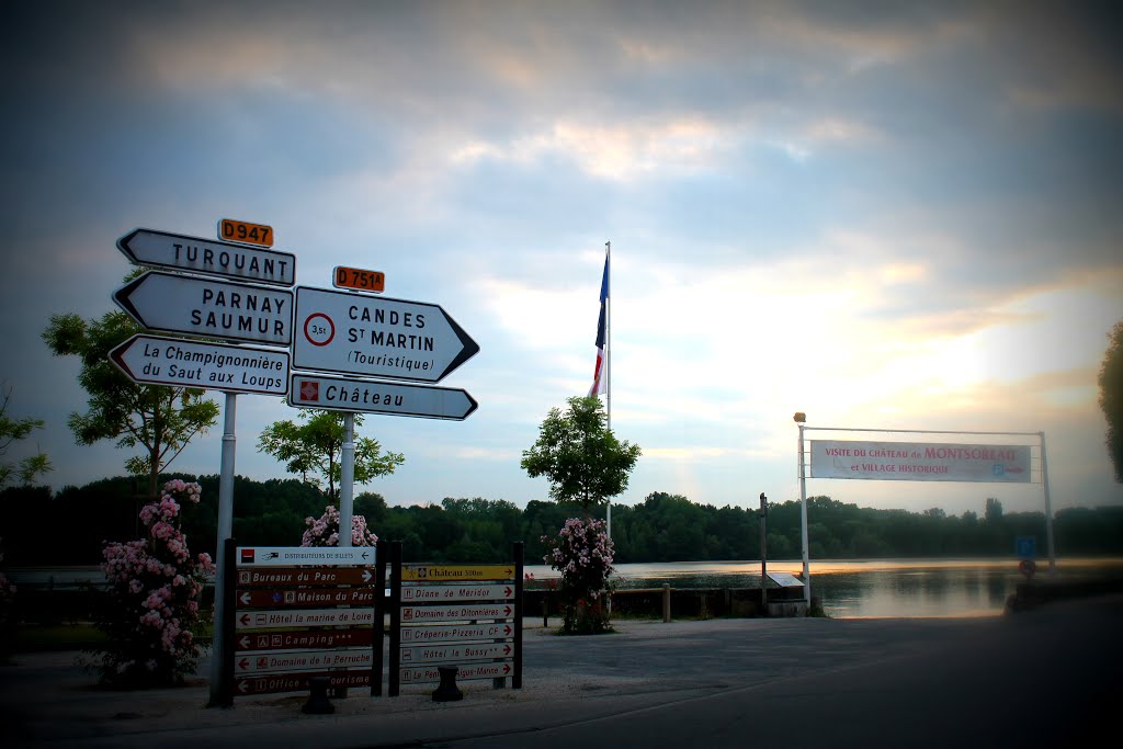 Montsoreau, France by Wolfgang Hanko