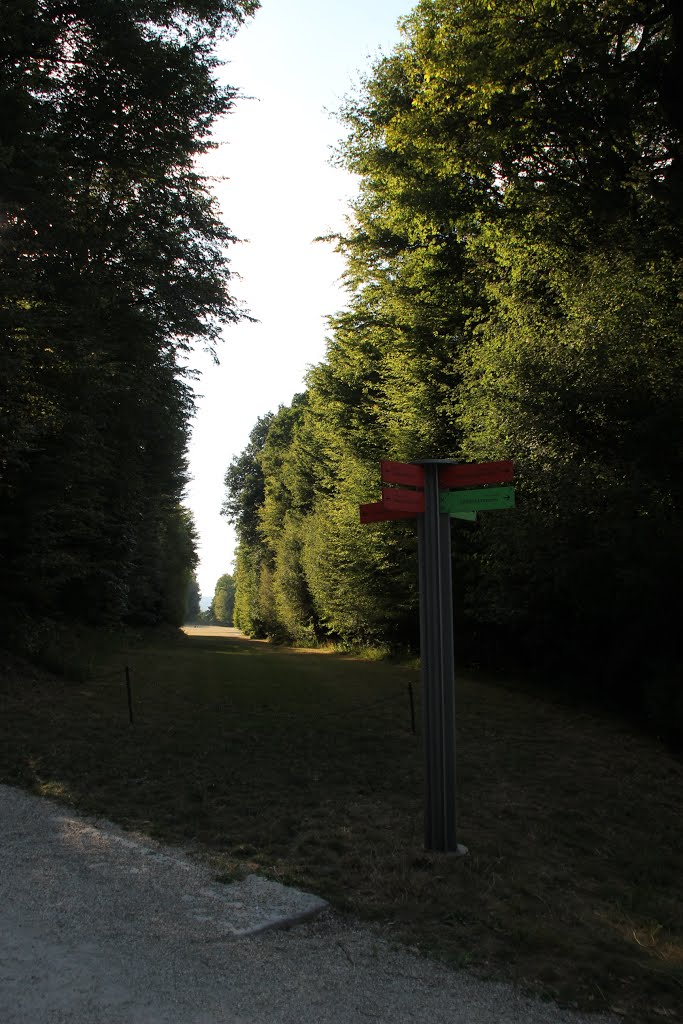 Im Schloßpark Schönbrunn, Wien, Österreich, Mitte Juli 2015 by kdh865