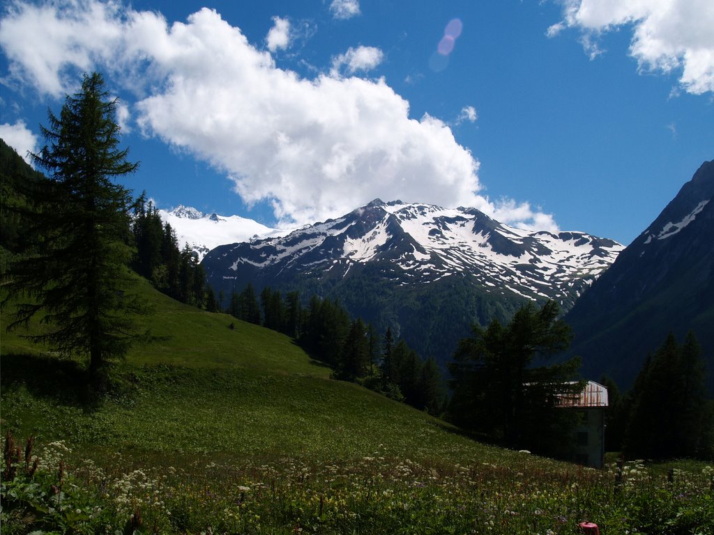 Gezicht van Col de la Forclaz by Wim Constant