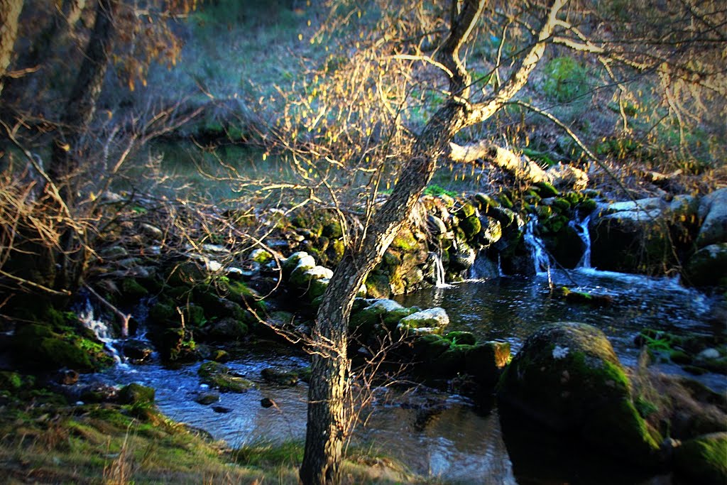 Cascata de Cafede by Filipe Antunes