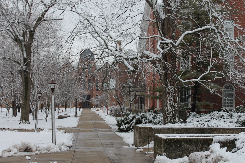 Illinois State University by gabriel mc14