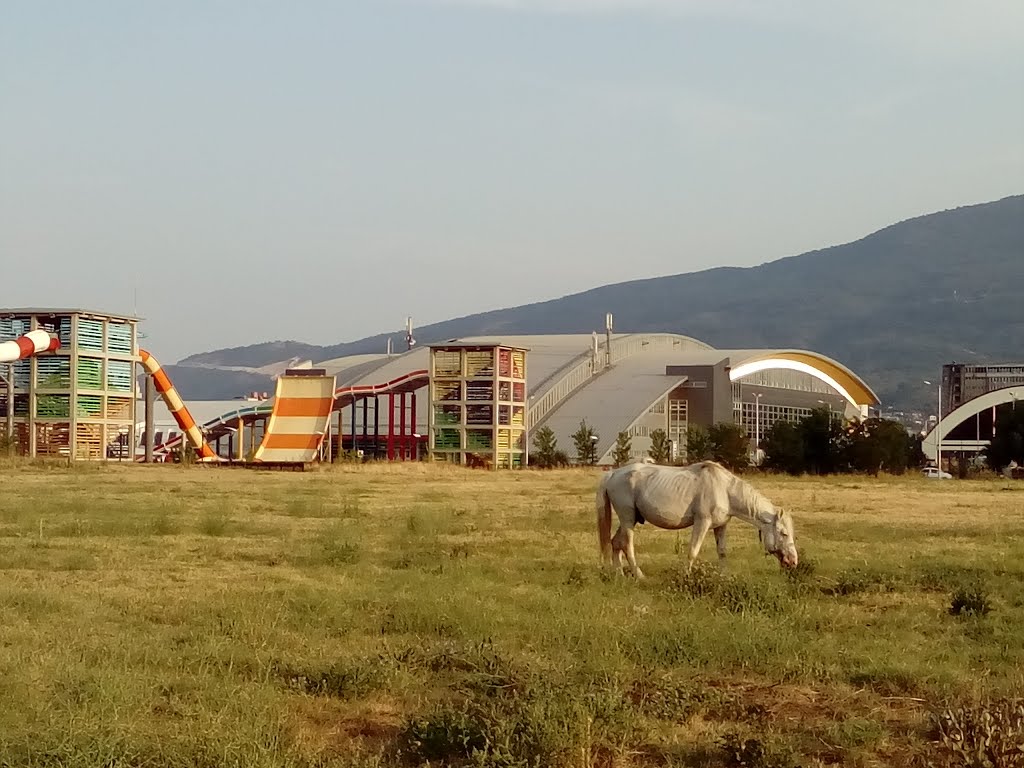 Karposh, Skopje 1000, Macedonia (FYROM) by METOKARA