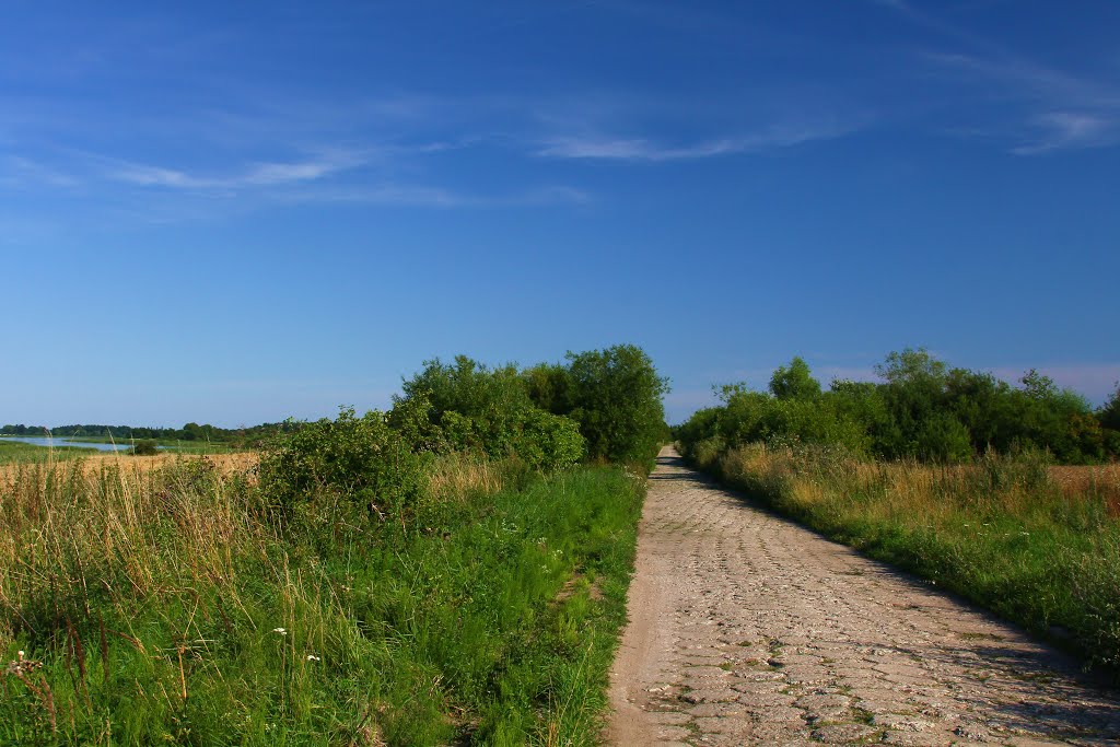 Droga z Sędławek do Czerwonej Górki. To fragment trasy rowerowej Green Velo. Po lewej stronie widać Jezioro Kinkajmskie. by Lech_Darski