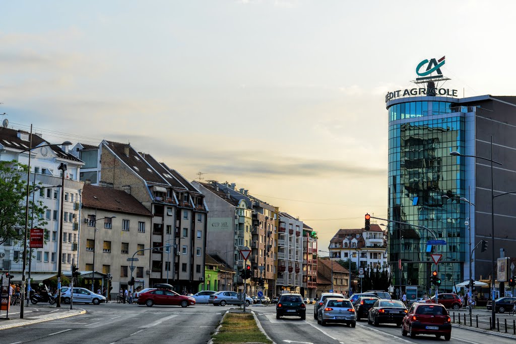 Novi Sad, ulica Braće Ribnikar by Zoran Skaljac