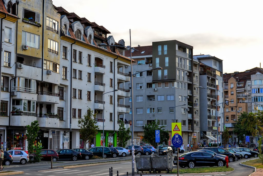 Novi Sad, ulica Brače Ribnikar by Zoran Skaljac