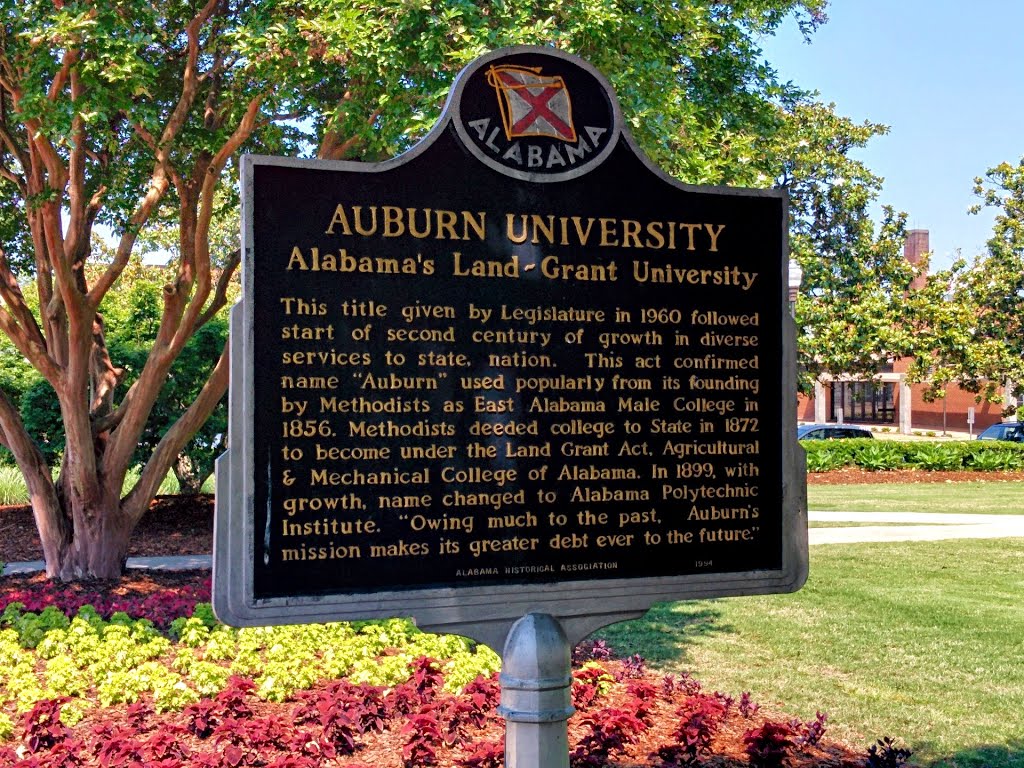 Auburn, AL, USA by Felipe Chierighini