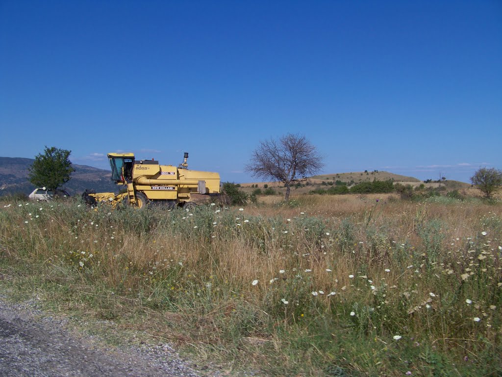 19800 Belören/Bayat/Çorum, Turkey by İsmail Cakmak