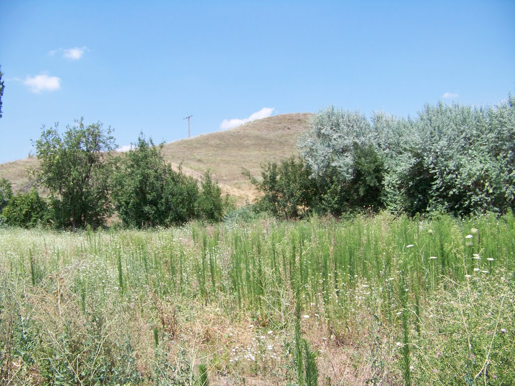 Kara Ciceli, 18000 Yeşilyurt/Çankırı Merkez/Çankırı, Turkey by İsmail Cakmak