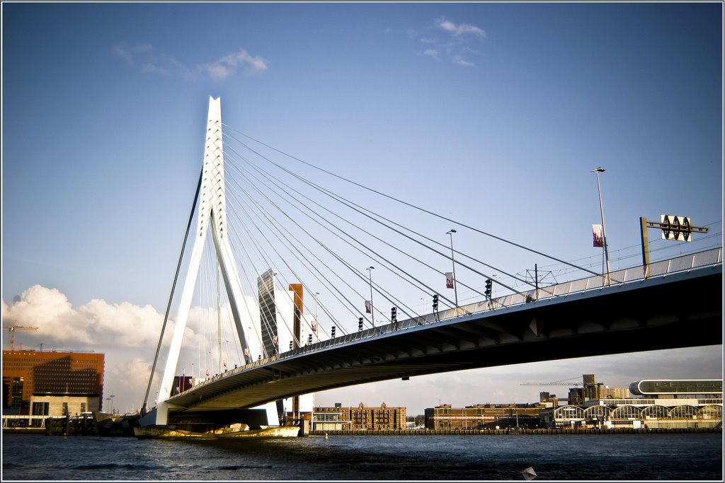 Erasmusbrug by huees