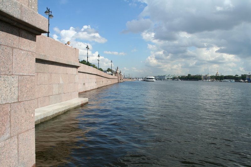 Vasileostrovsky District, St Petersburg, Russia by Алексей Семёнов