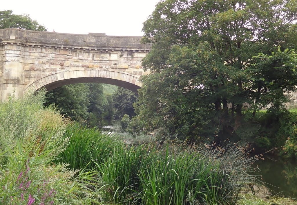 Avoncliff Aqueduct by phil elston