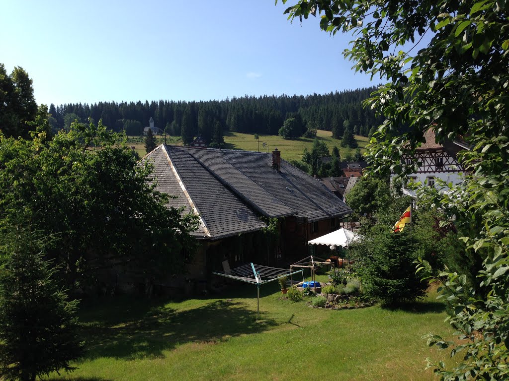 79868 Feldberg, Germany by Piter Wilde