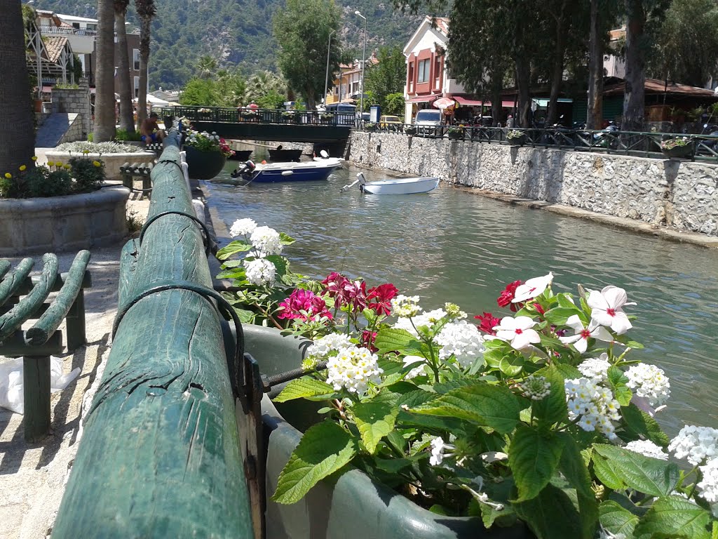 Turunç, Merkez, Turunç/Marmaris/Muğla, Turkey by Billybo