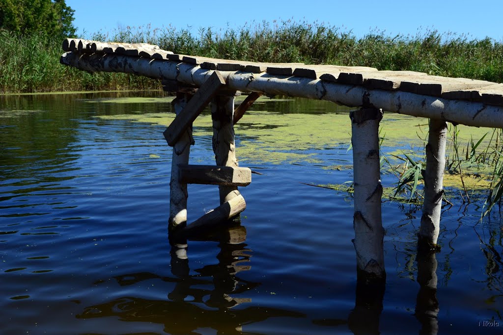 Kremins'kyi district, Luhans'ka oblast, Ukraine by Николай Скуридин