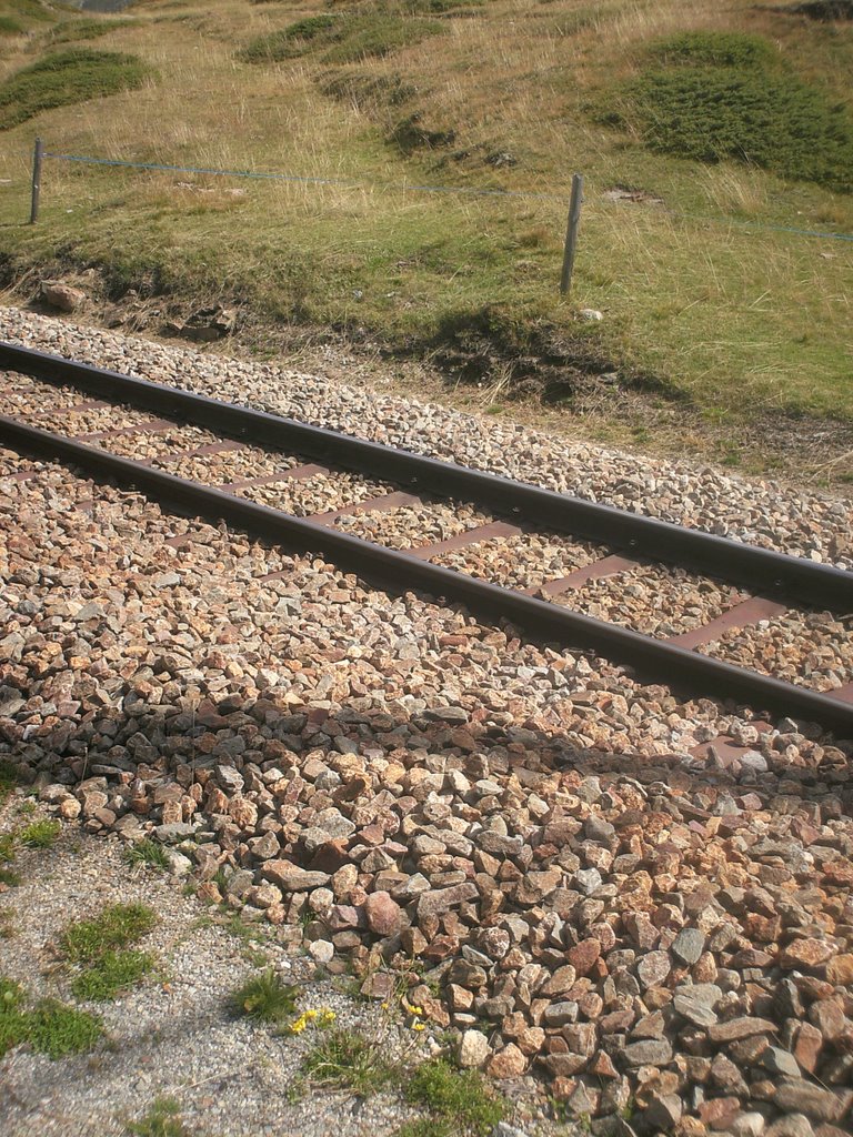 I binari del Trenino Rosso del Bernina by Federico Lazzarin