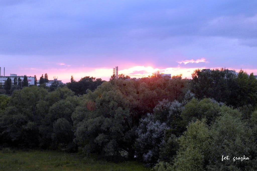 Winnica, Toruń, Poland by Grażyna Cięszczyk