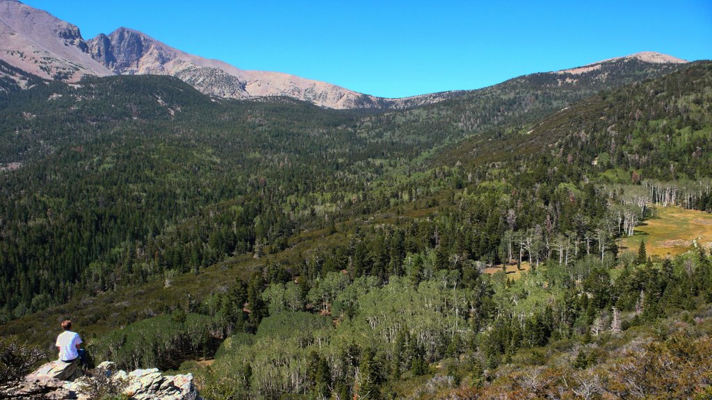 Landscape near Mt. Wheeler, NV by M.-T. Broksche