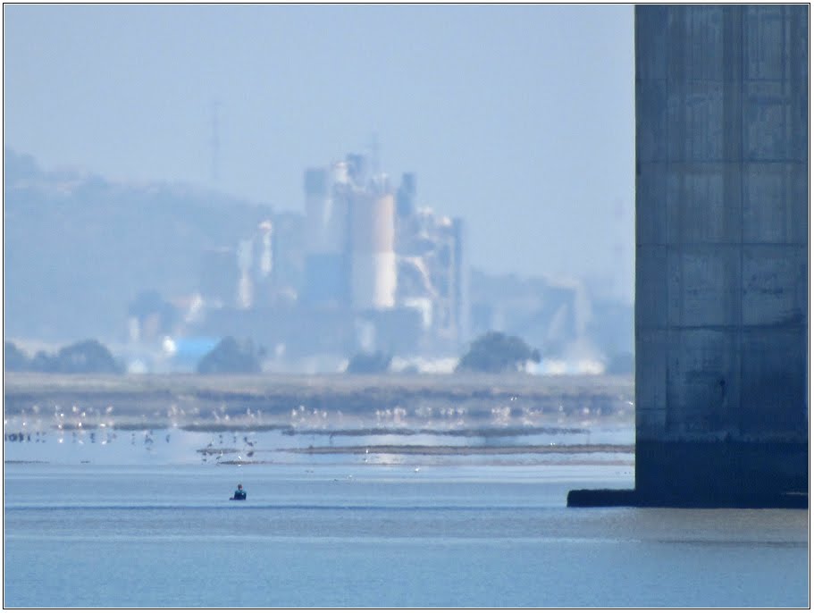 Ponte Vasco da Gama e Cimpor de Alhandra by André Barragon